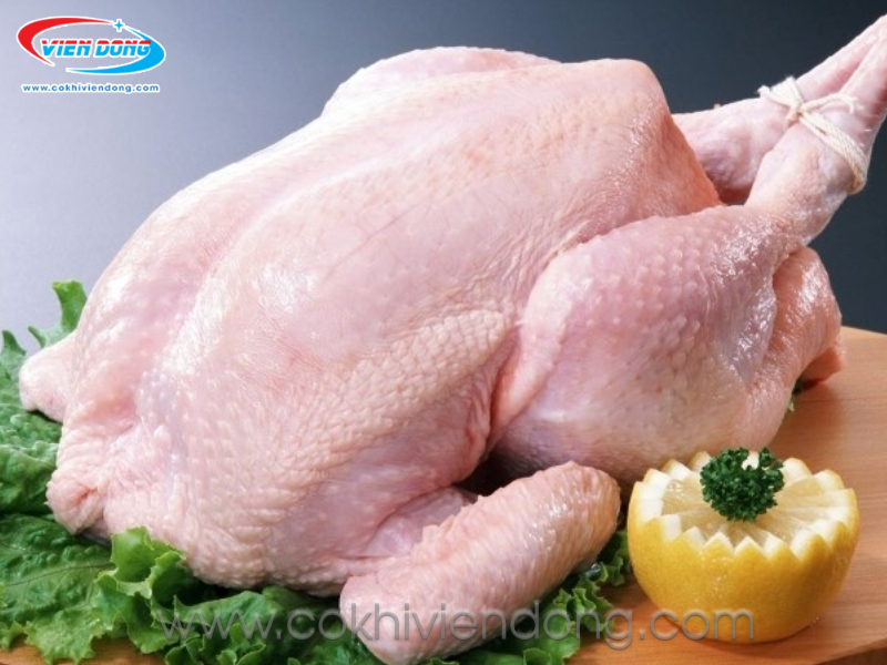 máy vặt lông gà vịt